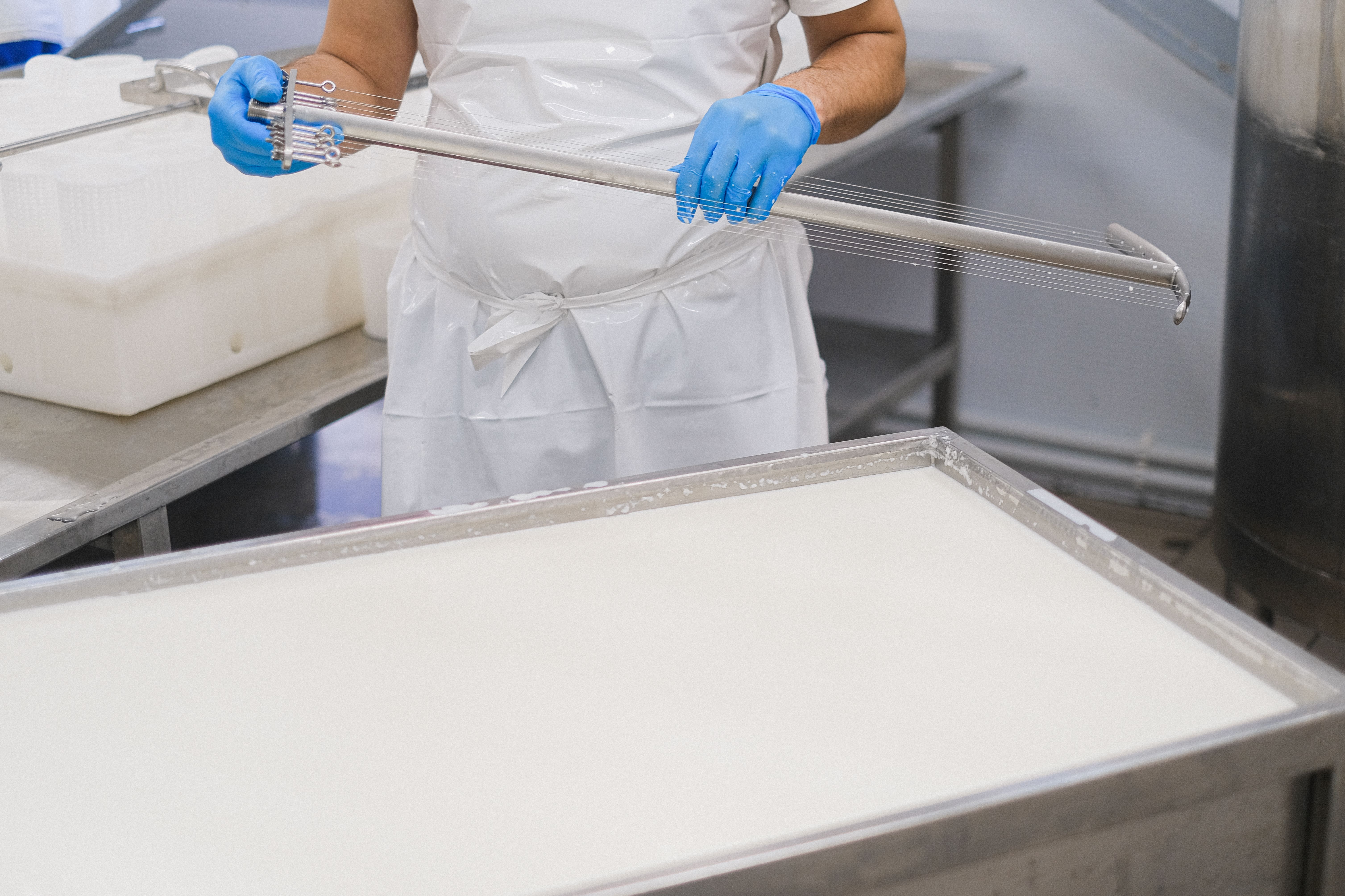 Addetto alla Lavorazione Lattiero-Casearia