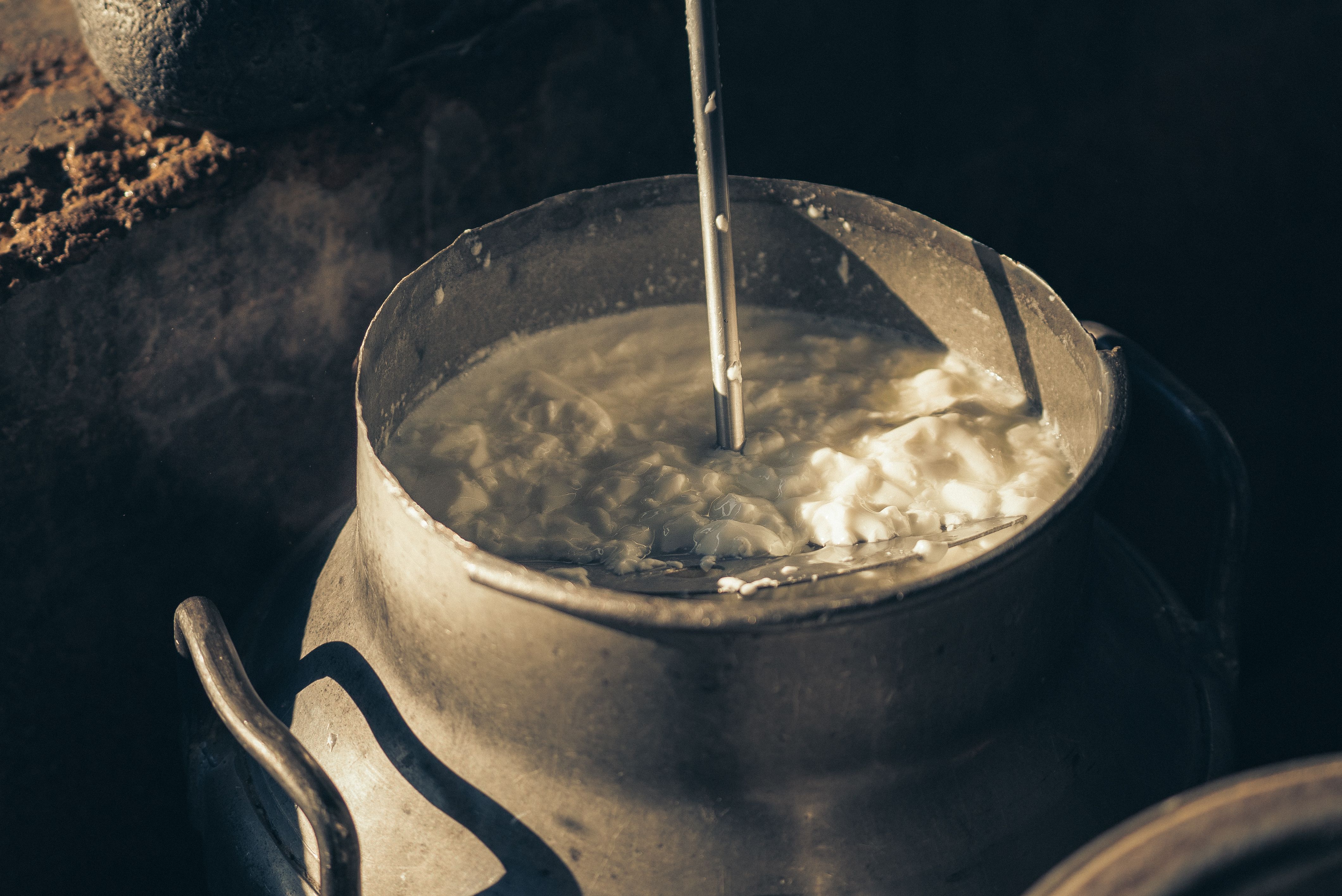 Operatore della Produzione di Latte Alimentare